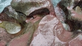 album/06202025/IMG20250620141652.jpg