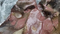 album/06202025/IMG20250620141656.jpg