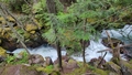 album/06202025/IMG20250620141852.jpg