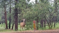 album/06202025/IMG20250620205048.jpg