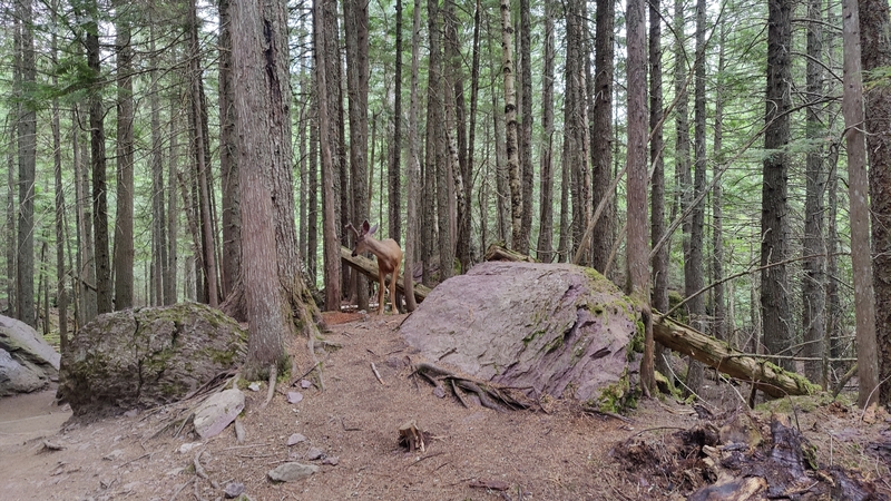 album/06202025/images/IMG20250620140326.jpg