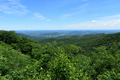 album/06202026/DSC_0685.JPG
