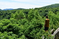 album/06202026/DSC_0688.JPG
