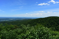 album/06202026/DSC_0692.JPG