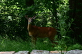 album/06202026/DSC_0694.JPG