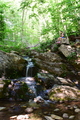 album/06202026/DSC_0708.JPG