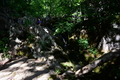 album/06202026/DSC_0718.JPG