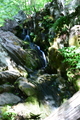 album/06202026/DSC_0721.JPG