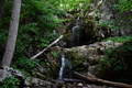 album/06202026/DSC_0739.JPG