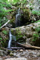 album/06202026/DSC_0741.JPG