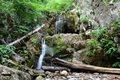 album/06202026/DSC_0750.JPG