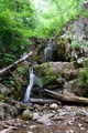 album/06202026/DSC_0751.JPG
