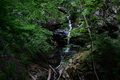 album/06202026/DSC_0764.JPG