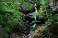 album/06202026/DSC_0767.JPG