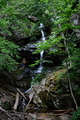 album/06202026/DSC_0770.JPG