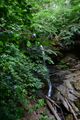 album/06202026/DSC_0781.JPG