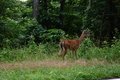 album/06202026/DSC_0786.JPG