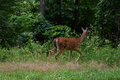 album/06202026/DSC_0787.JPG