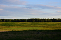 album/06202026/DSC_0788.JPG