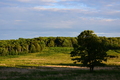 album/06202026/DSC_0789.JPG