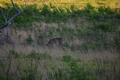 album/06202026/DSC_0792.JPG