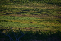 album/06202026/DSC_0794.JPG