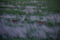 album/06202026/DSC_0796.JPG