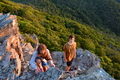 album/06202026/DSC_0807.JPG