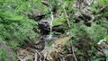 album/06202026/IMG20260620180016.jpg