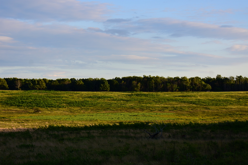 album/06202026/images/DSC_0788.JPG