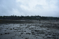 album/06232026/DSC_0858.JPG