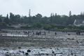 album/06232026/DSC_0859.JPG