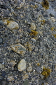 album/06232026/DSC_0860.JPG