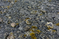 album/06232026/DSC_0861.JPG