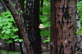 album/06232026/DSC_0862.JPG