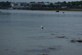 album/06232026/DSC_0867.JPG