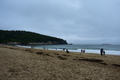 album/06232026/DSC_0871.JPG