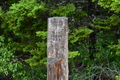 album/06232026/DSC_0893.JPG