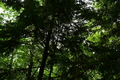 album/06232026/DSC_0904.JPG
