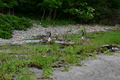 album/06232026/DSC_0944.JPG