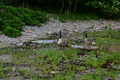 album/06232026/DSC_0945.JPG