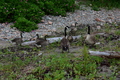 album/06232026/DSC_0947.JPG