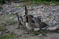 album/06232026/DSC_0962.JPG
