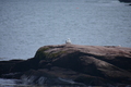album/06232026/DSC_0963.JPG