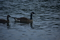 album/06232026/DSC_0968.JPG