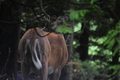 album/06232026/DSC_0973.JPG
