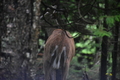 album/06232026/DSC_0974.JPG