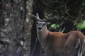 album/06232026/DSC_0982.JPG