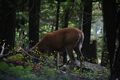 album/06232026/DSC_0983.JPG