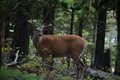 album/06232026/DSC_0984.JPG
